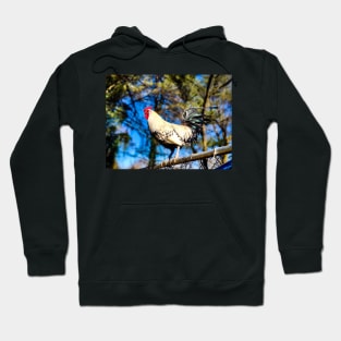 Rooster Hoodie